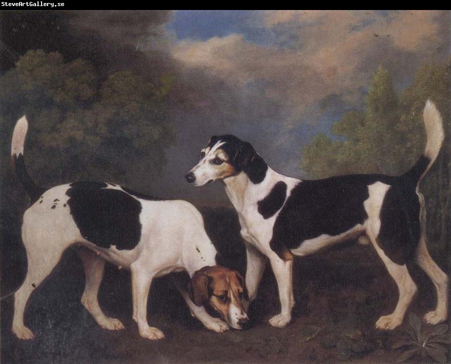 George Stubbs A Couple of Foxhounds
